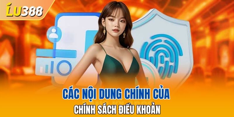 Các nội dung chính của chính sách điều khoản