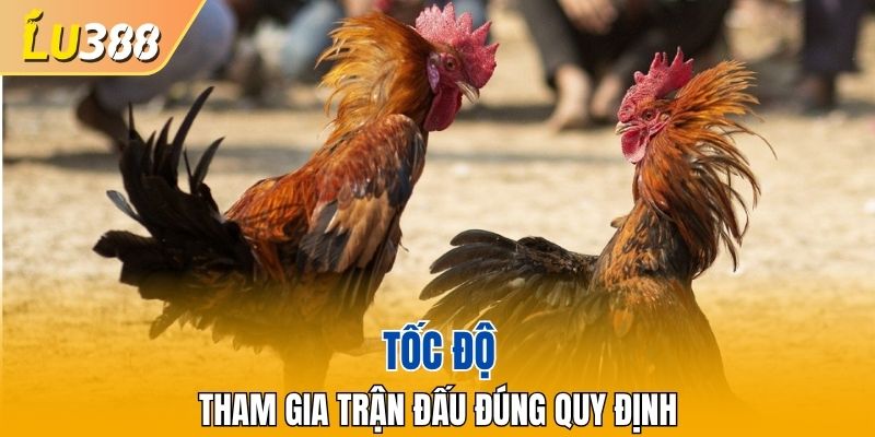 Đảm bảo có thời gian thi đấu hợp lý