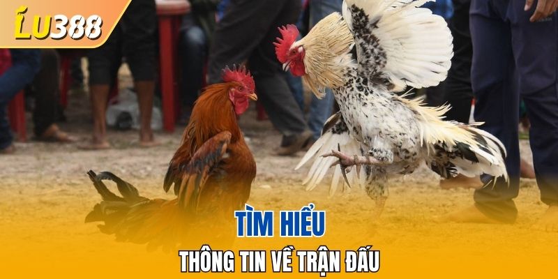 Giới thiệu các trận đấu hot hit