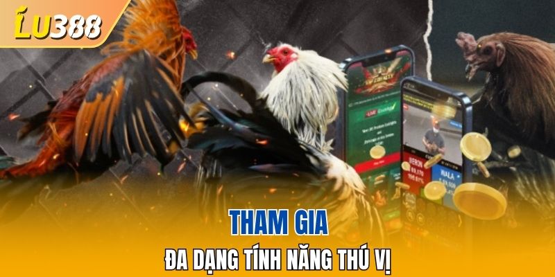 Hình thức cá độ hấp dẫn