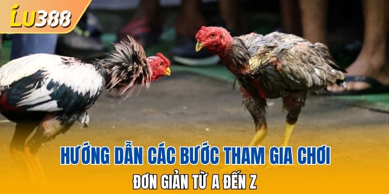 Hướng dẫn các bước tham gia chơi đơn giản từ A đến Z