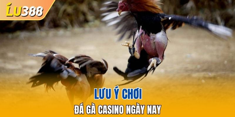Lưu ý tham gia đá gà casino cho mọi người trong nhà cái