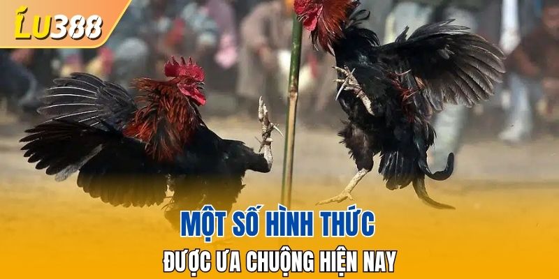 Một số hình thức được ưa chuộng hiện nay