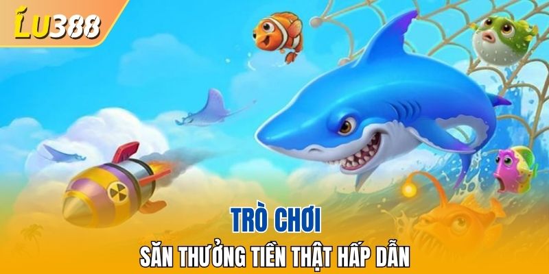 Săn kho báu cực hời