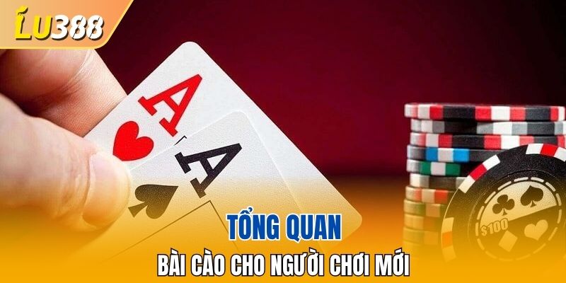 Tổng quan về bài cào cực chi tiết