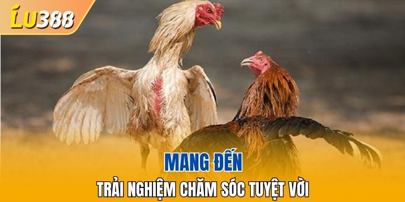 Trải nghiệm dịch vụ tuyệt vời
