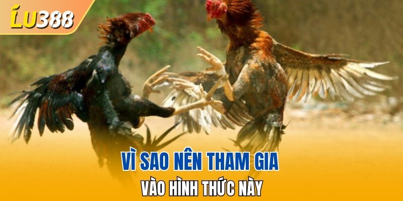 Vì sao nên tham gia vào hình thức này