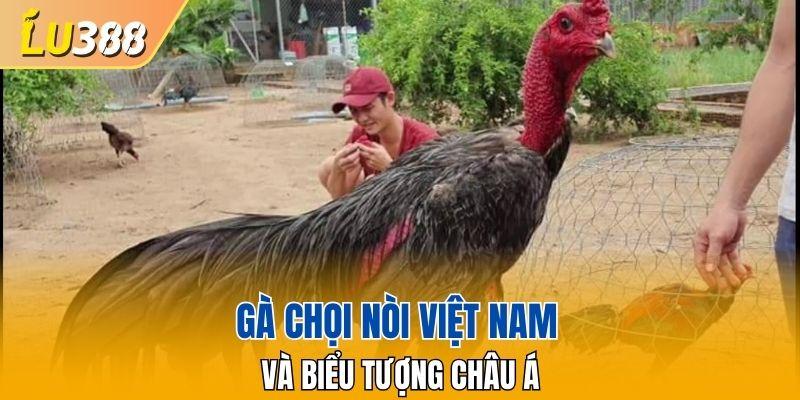 Gà chọi nòi Việt Nam và biểu tượng châu Á