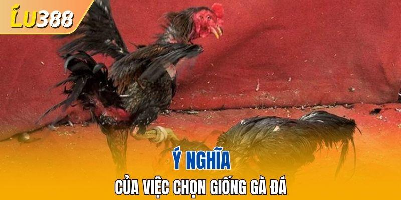 Vai trò của việc chọn giống