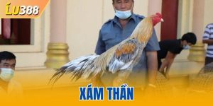 Xám thần