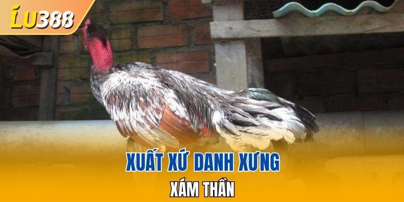 Xuất xứ danh xưng Xám thần