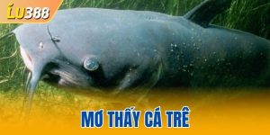 Mơ thấy cá trê