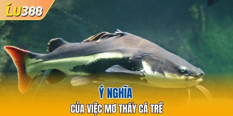 Ý nghĩa của việc mơ thấy cá trê