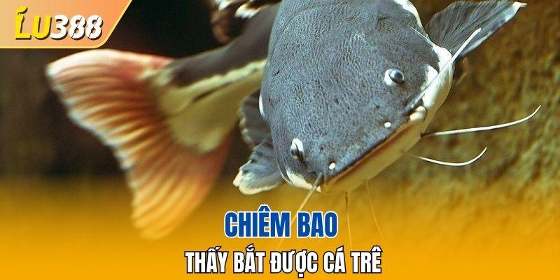 Chiêm bao thấy bắt được cá trê