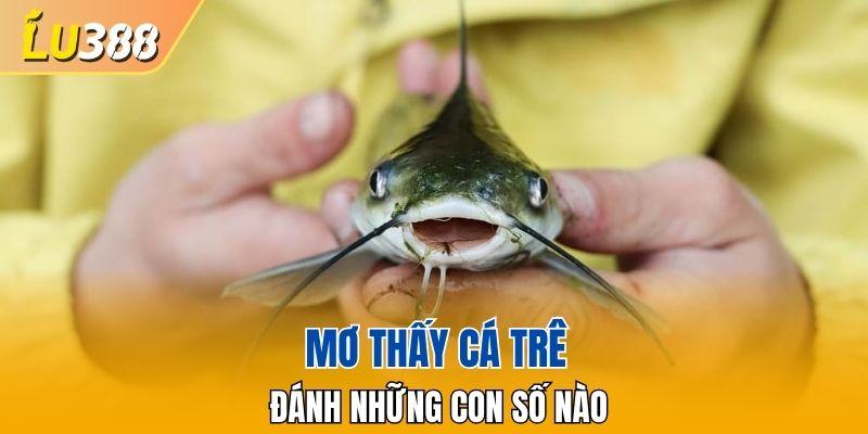 Mơ thấy cá trê đánh những con số nào?
