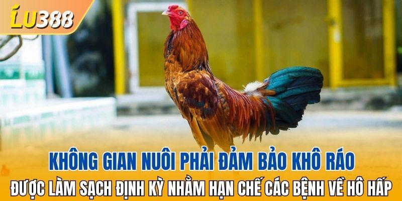 Bạn nên thiết kế chuồng theo hướng đón gió